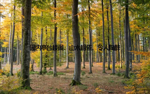 园内亭台楼阁、山水相依, 令人陶醉