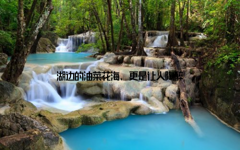 湖边的油菜花海, 更是让人陶醉