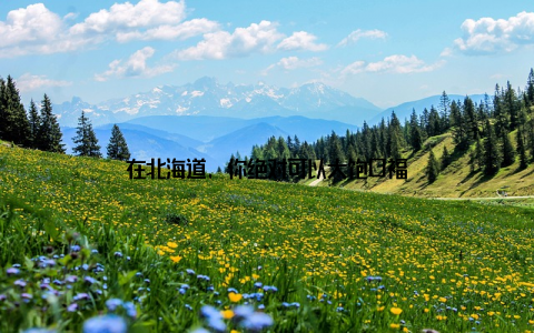 在北海道, 你绝对可以大饱口福
