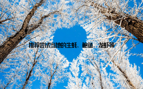 推荐尝试当地的生蚝、鲍鱼、龙虾等