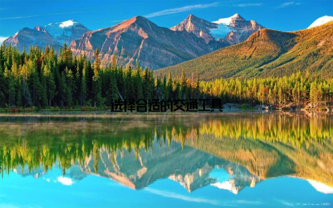 选择合适的交通工具