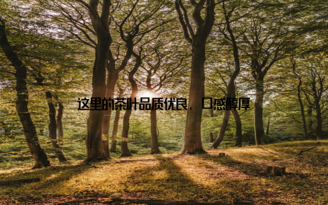 这里的茶叶品质优良, 口感醇厚