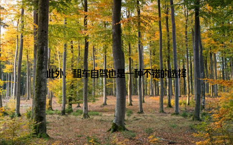 此外, 租车自驾也是一种不错的选择