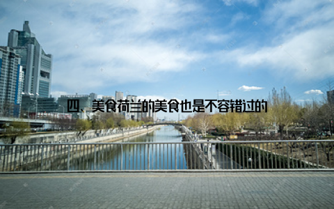 四、美食荷兰的美食也是不容错过的