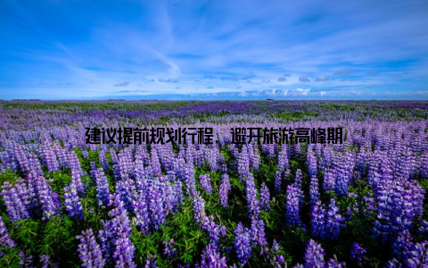 建议提前规划行程, 避开旅游高峰期